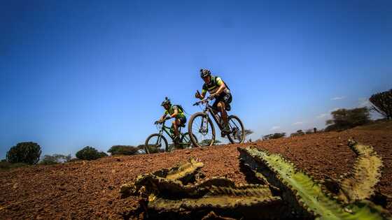 Africa Classic Tanzania