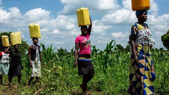 Amref sluit partnerschap af met Sawadee